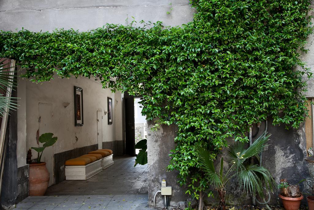 Alcala Living Apartments Catania Room photo